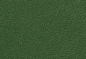 アマゾングリーン