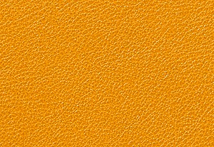 ゴールデンロッド