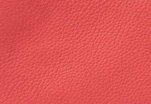 スパイスコーラル