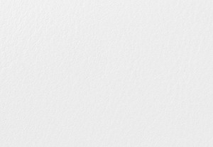 オプティックホワイト