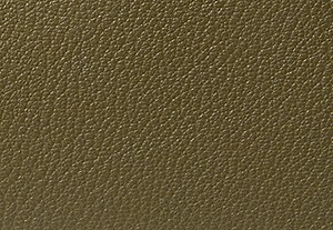 サファリグリーン