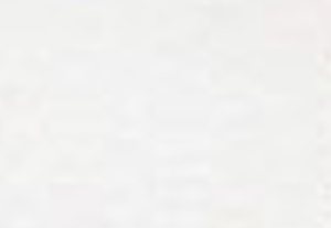 ナチュラル/オプティックホワイト