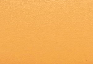 ハニーウィートマルチ