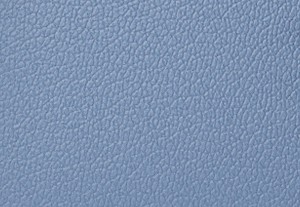 フレンチブルーマルチ