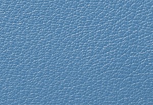 フレンチブルーマルチ