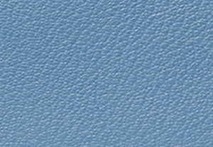 フレンチブルー