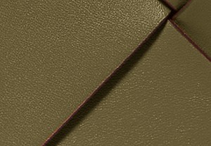 サファリグリーン