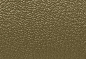 サファリグリーン