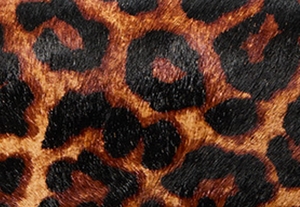 バタースコッチ