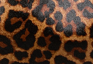 バタースコッチ