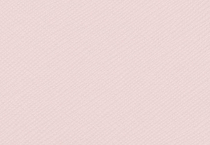 パウダーブラッシュ