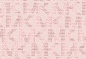 パウダーブラッシュ