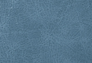 コーンフラワー