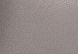 公式アウトレット】【日本限定】CARSON NS クロスボディ スモール