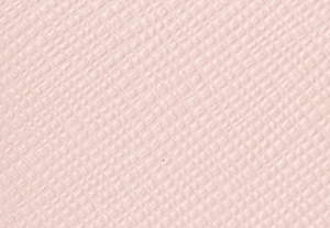 パウダーブラッシュ