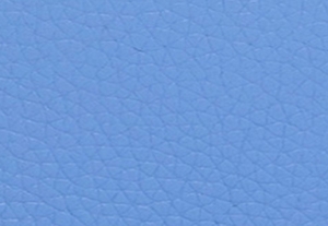 サウスパシフィック