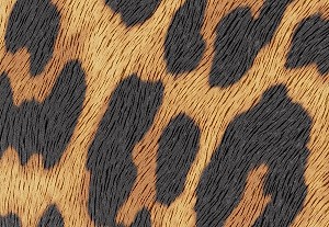 バタースコッチ