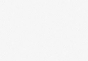 オプティックホワイト