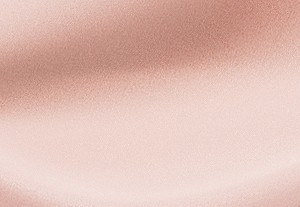 パウダーブラッシュ