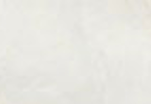 ボーン/ボーンシグ