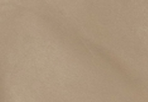 トープ