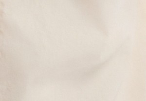 ソフトエクリュ