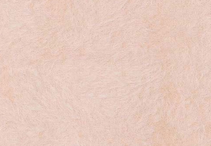 パウダーブラッシュ