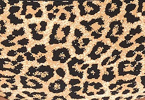 ペールバタースコッチ