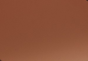 ダークタートイズ