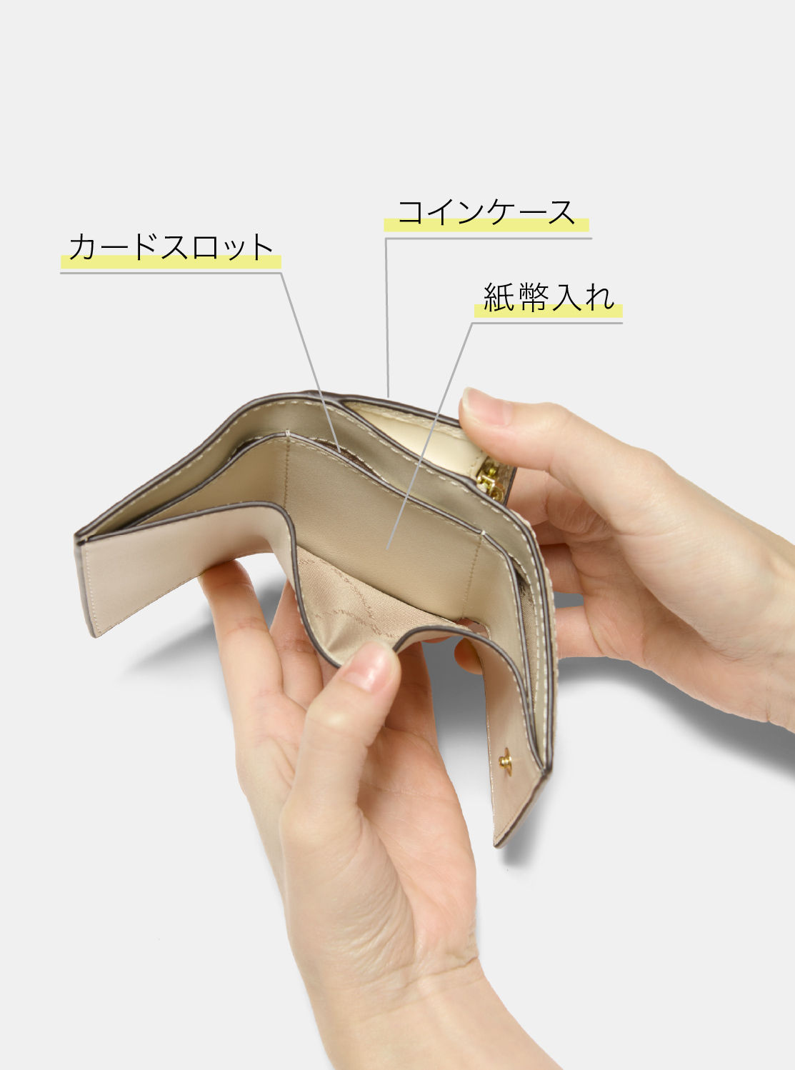 【日本限定】JET SET TRAVEL トライフォールド ジップウォレット エクストラスモール