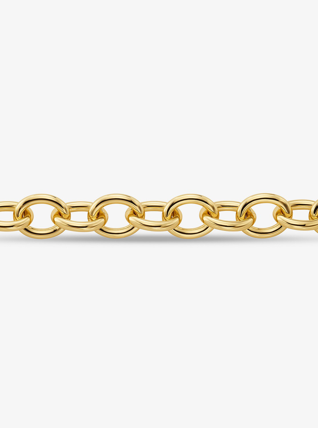 プレシャスメタル プレーティング ブラス チェーンリンク ネックレス ラージ|マイケル・コース(MICHAEL KORS)公式オンラインアウトレットストア 2